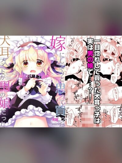 嫁にしようと思って買った犬耳メイドが男の娘だった