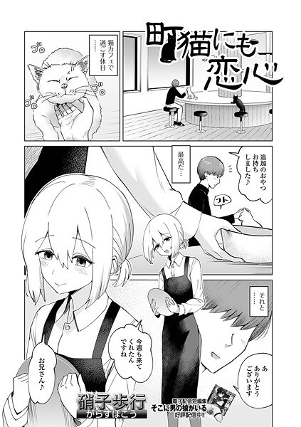 【レビュー】町猫にも恋心のあらすじ・魅力を徹底レビュー｜FANZA人気エロ漫画
