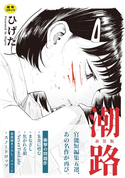 【レビュー】潮路 新装版のあらすじ・魅力を徹底レビュー｜FANZA人気エロ漫画